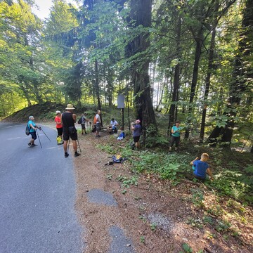 Pohod - Pokojišče 1